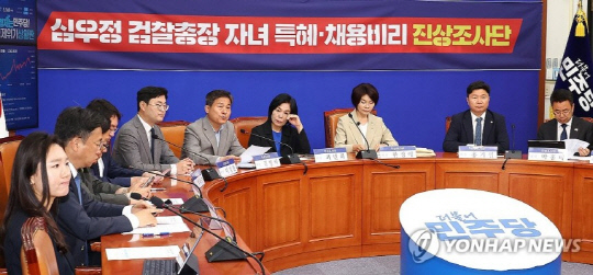 17일 국회에서 열린 더불어민주당 '심우정 검찰총장 자녀 특혜채용비리 진상조사단 회의'에서 김영배 위원(왼쪽 다섯번째)이 경과보고를 하고 있다. 연합뉴스